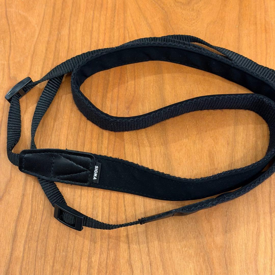 SIGMA fp ボディ 純正バッテリー2個付き