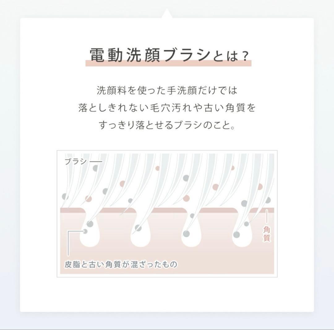 SALONIA イオンフェイシャルブラシ 限定セット【新品】