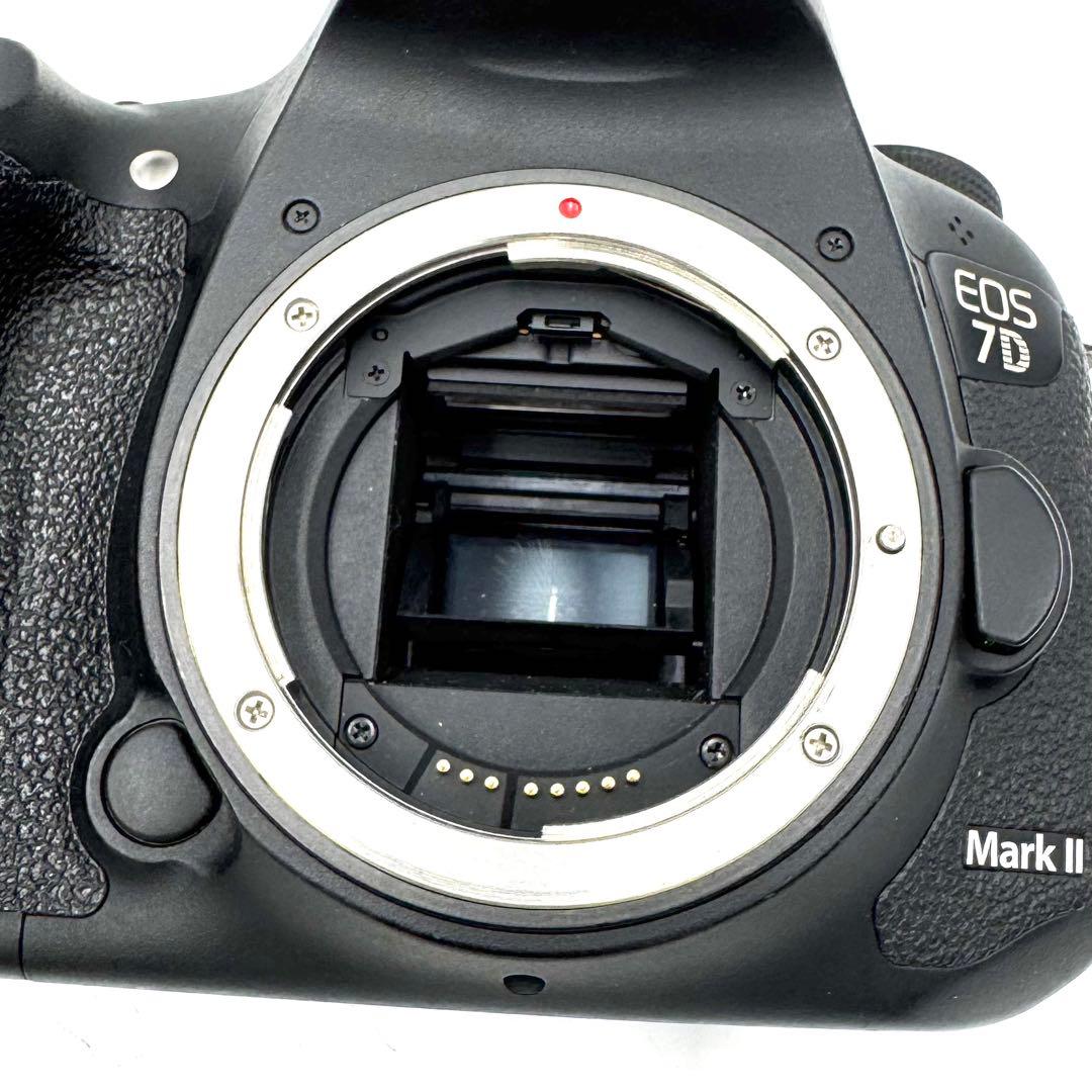動作良好 CANON キャノン EOS 7D Mark II デジタル一眼レフ
