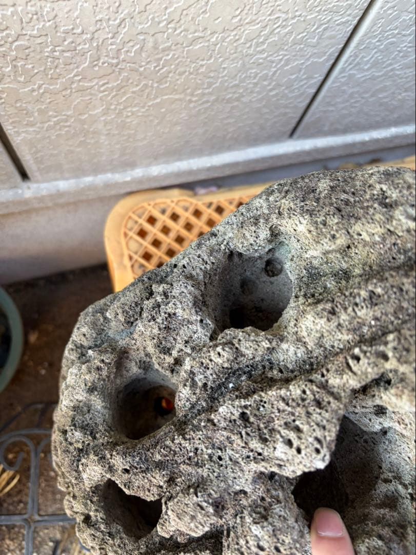 Kevin　雲山石 溶岩石鉢　レイアウト穴7個　水抜き穴あり