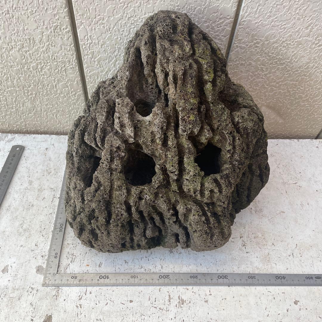 Kevin　雲山石 溶岩石鉢　レイアウト穴7個　水抜き穴あり