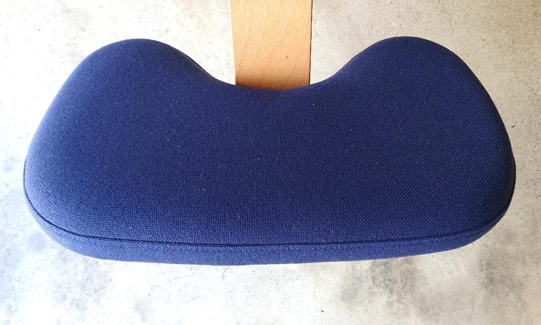 サカモトハウス バランスチェアイージー 2脚ブルー、ブラウン