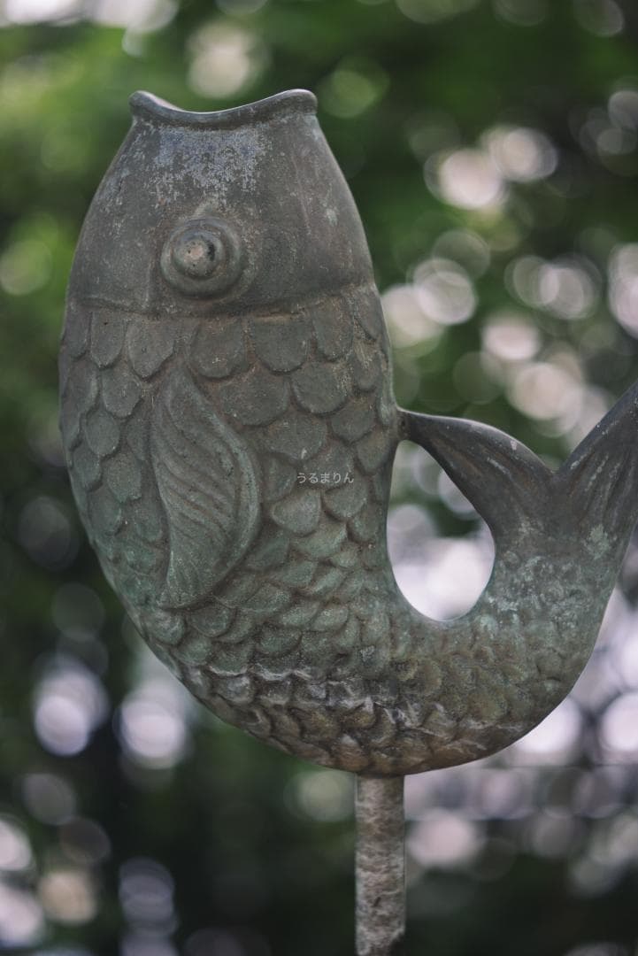 ライカの神マクロ！Leica Elmar 65mm F3.5 Visoflex