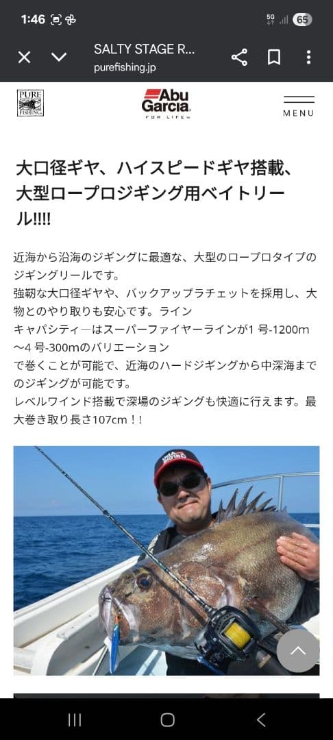 限界価格!これ以上値下げしません! アブガルシア ソルティーステージレボLJ-4