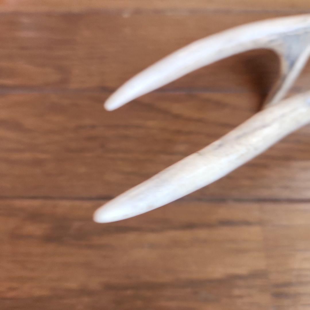 鹿の角 インテリア小物 自然な形状