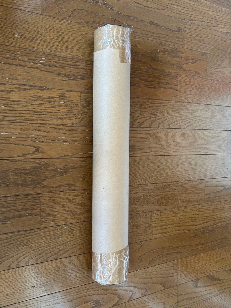 【未使用品】アブガルシア　ズームサファリ ZMSS-605L