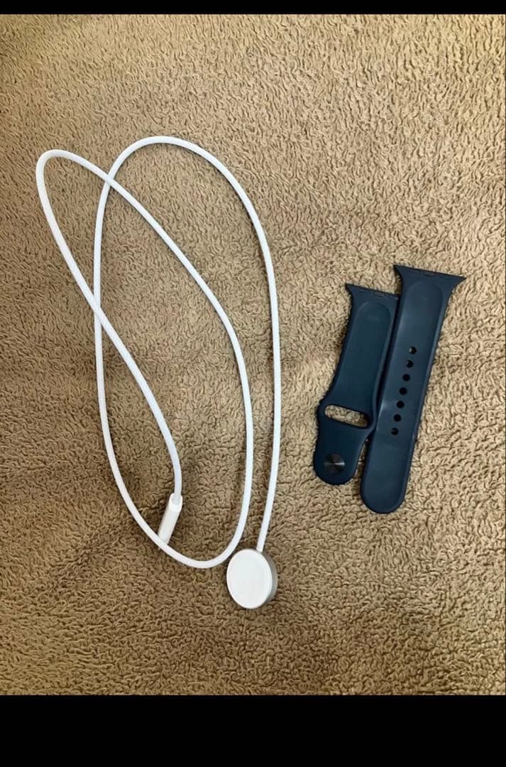 Apple Watch SE 3 44mm ミッドナイト