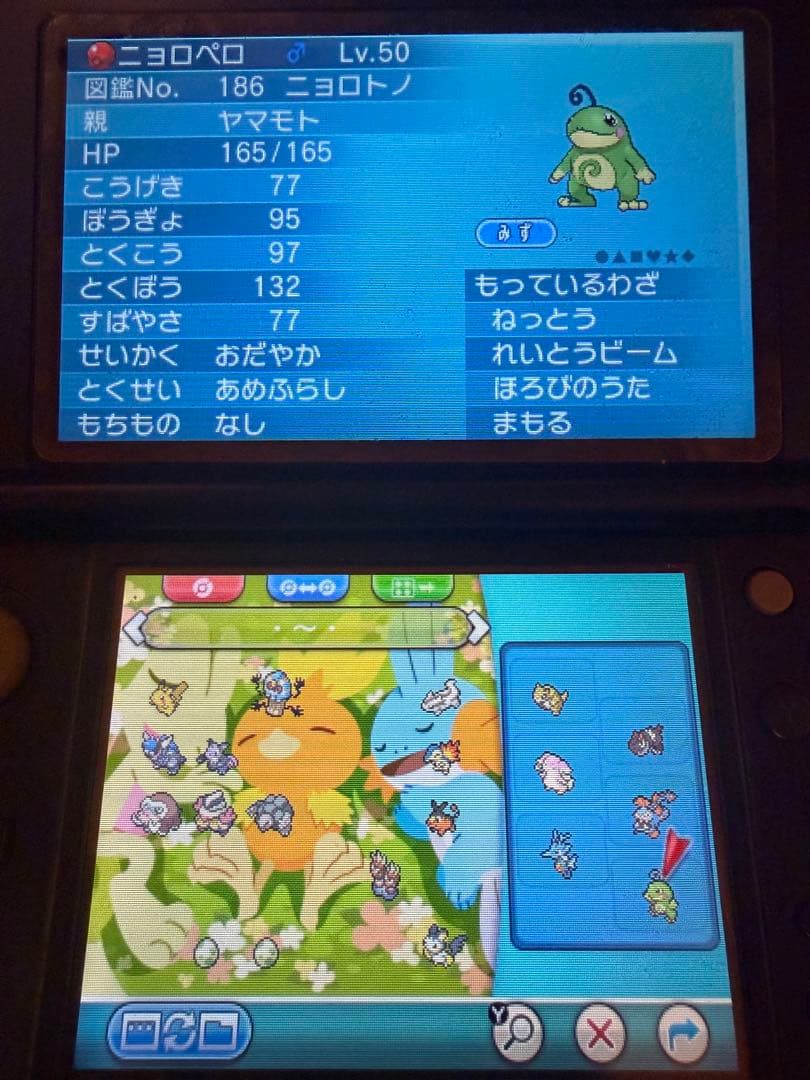 ポケットモンスター オメガルビー ニンテンドー3DS 特別なポケモン多数