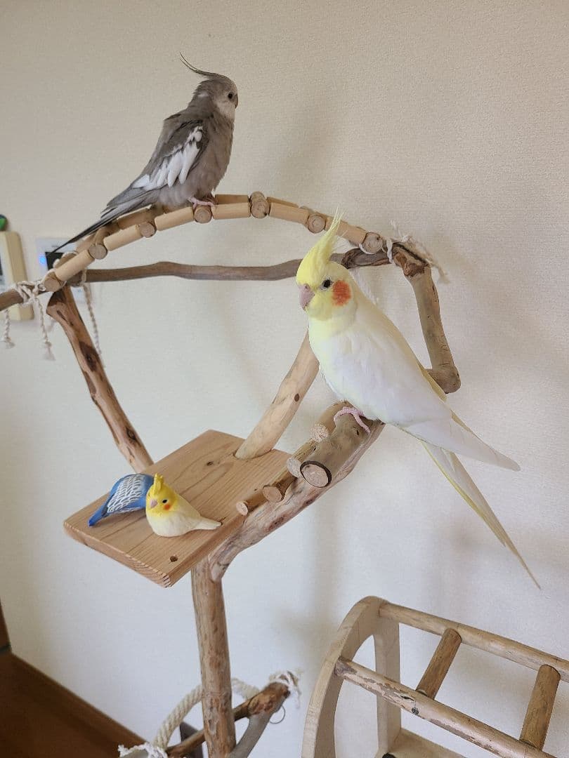 ④朝霧＊オーダーページ　バードアスレチック　流木　ハンドメイド