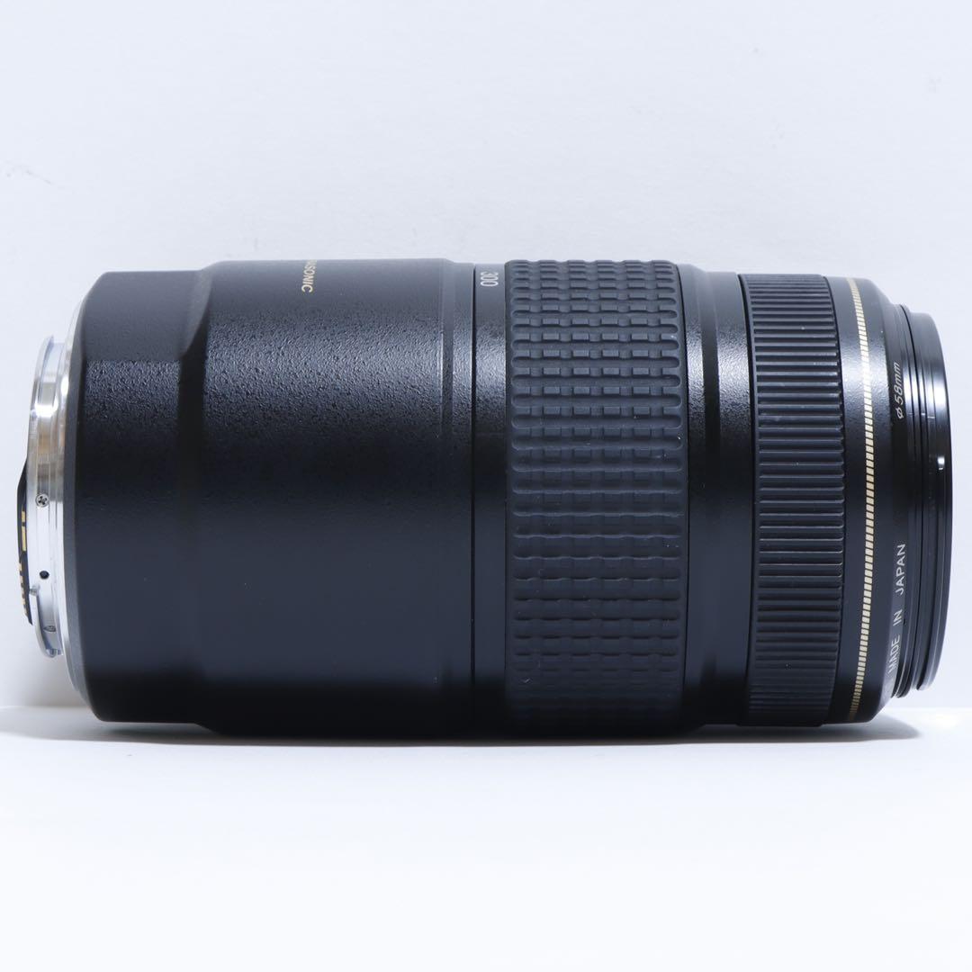 ◇超望遠&高速AF&手ブレ◇ Canon純正 75-300mm IS◇