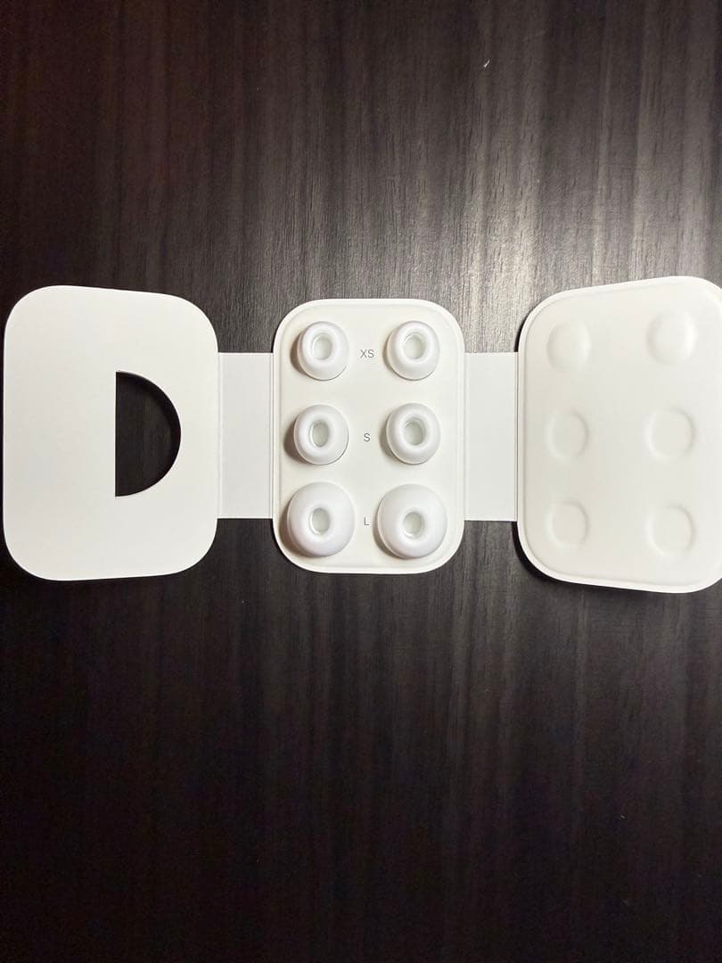 AirPods Pro 第二世代　タイプC A3048