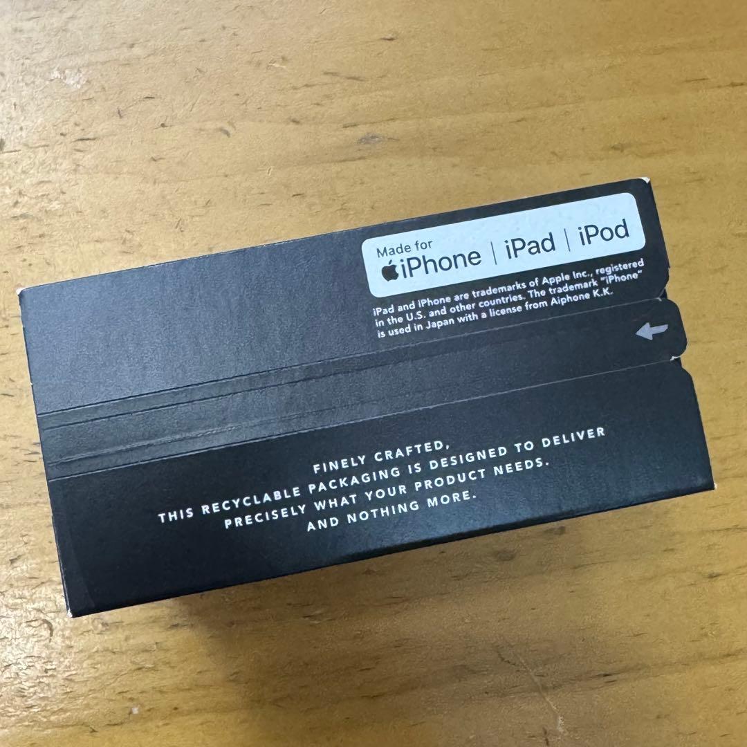 DEVIALET GEMINI Ⅱ ワイヤレスイヤホン ブラック