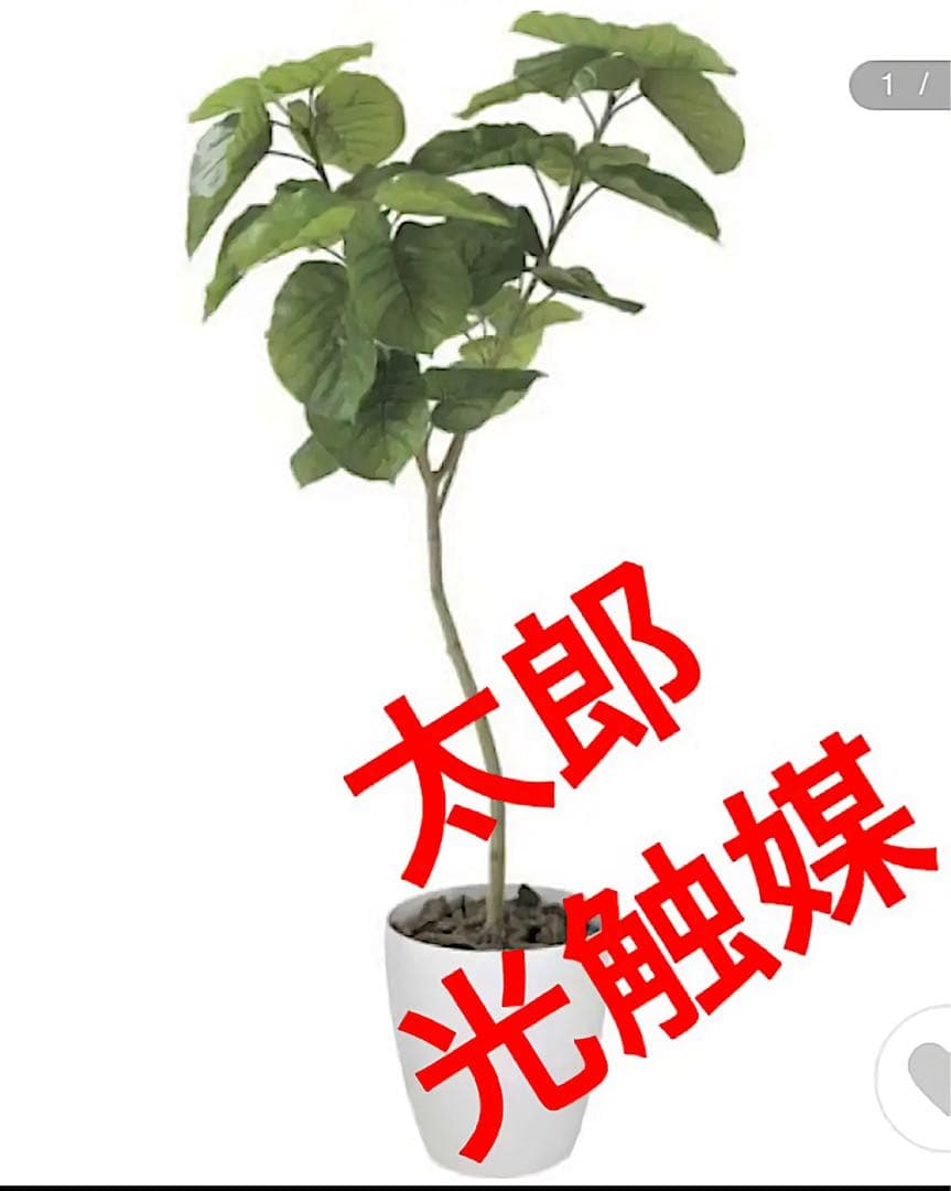光触媒　人工観葉植物　ウォールグリーン　フェイクグリーン　ウンベラータ05