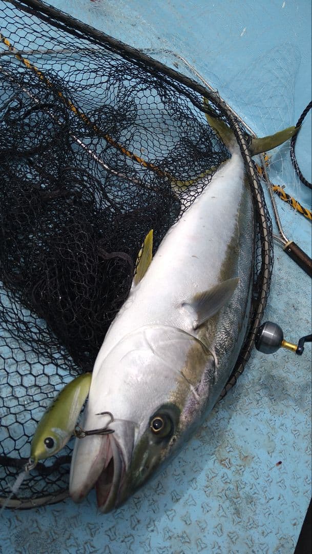 将栄丸　スライドダイバー190F ハンドメイドウッドルアー　ダイビングペンシル