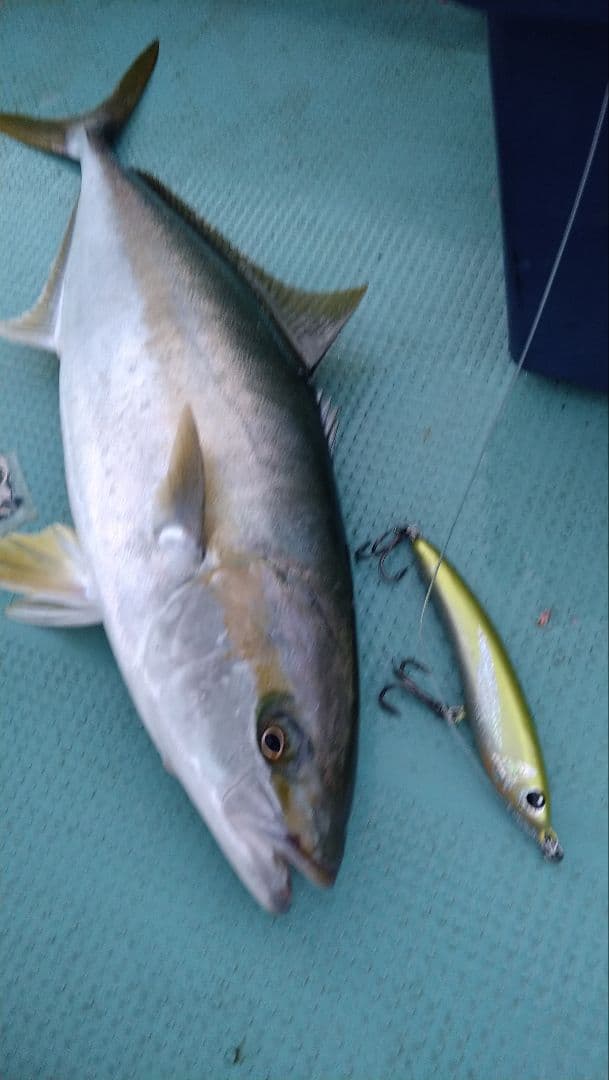 将栄丸　スライドダイバー190F ハンドメイドウッドルアー　ダイビングペンシル