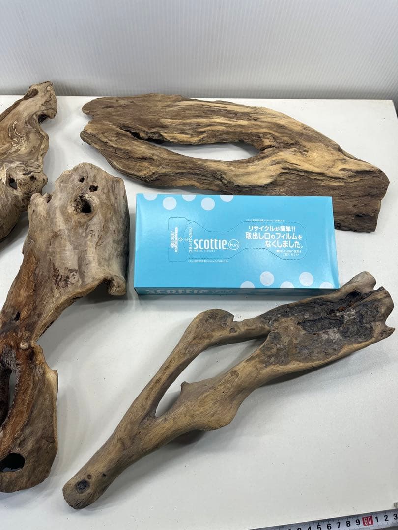 R70アク抜き済み流木 爬虫類シェルター レイアウト用 インテリア エアプランツ