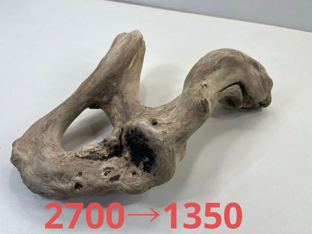 R70アク抜き済み流木 爬虫類シェルター レイアウト用 インテリア エアプランツ