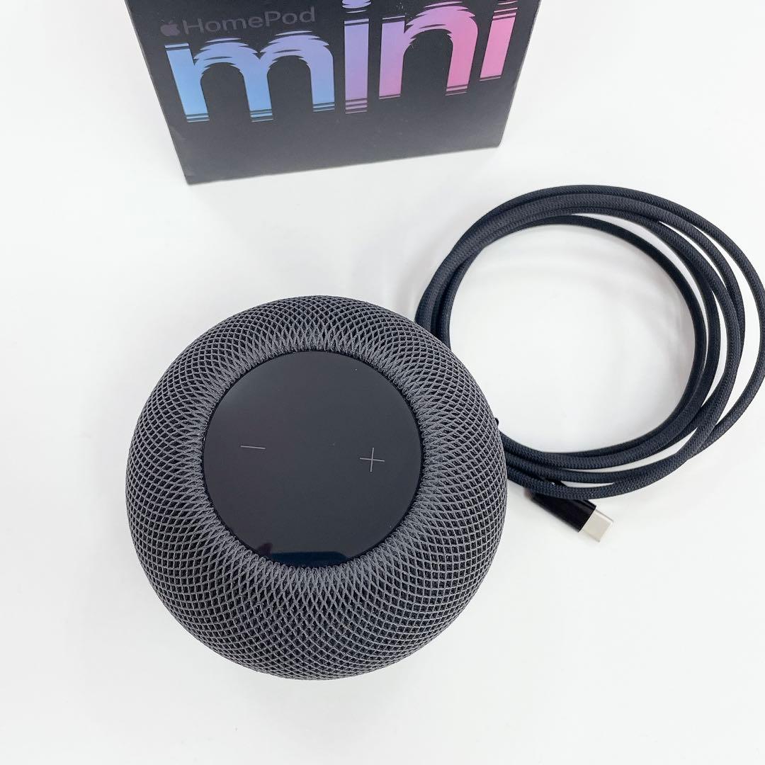 Apple Pod Mini スペースグレー A2374 #T-512