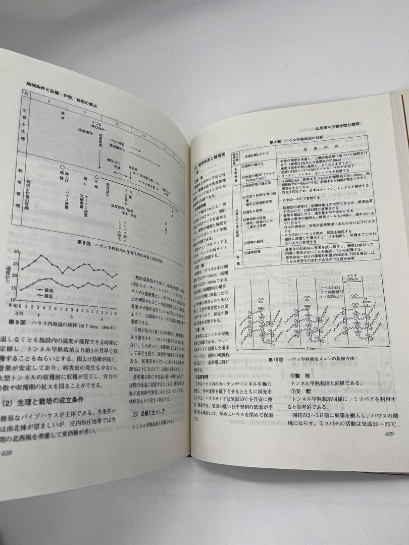 野菜園芸大百科 (4) 第2版　メロン