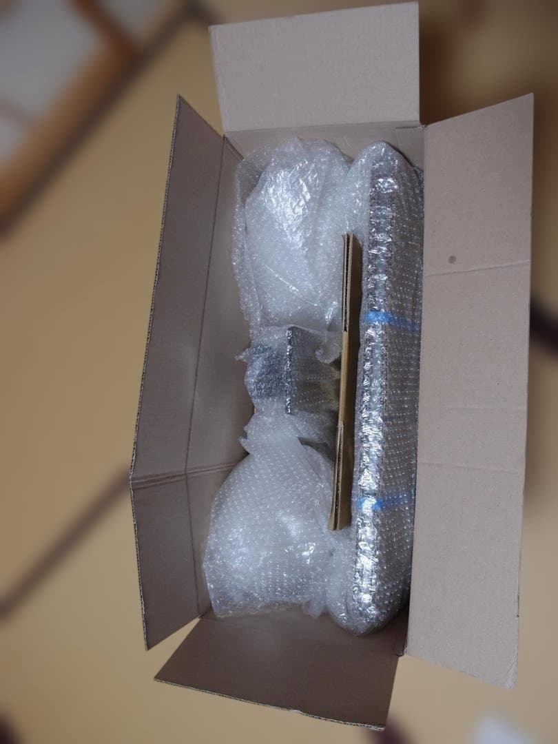 DASUNG Paperlike 253 E-ink モニター　（モノクロ版）