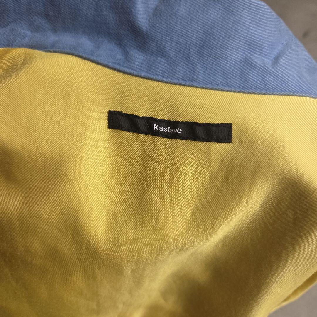 テーラー東洋別注 kastane　ベトジャン 刺繍 希少　レディース