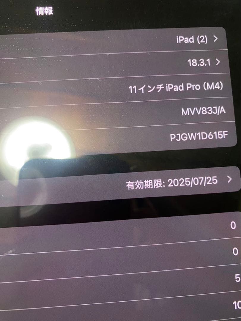 Apple iPad Pro 11インチM42024年Wi-Fiモデル256GB