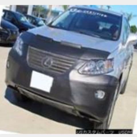 ノーズブラ　E52エルグランド　LEXUS　RX350 コルガンカスタム