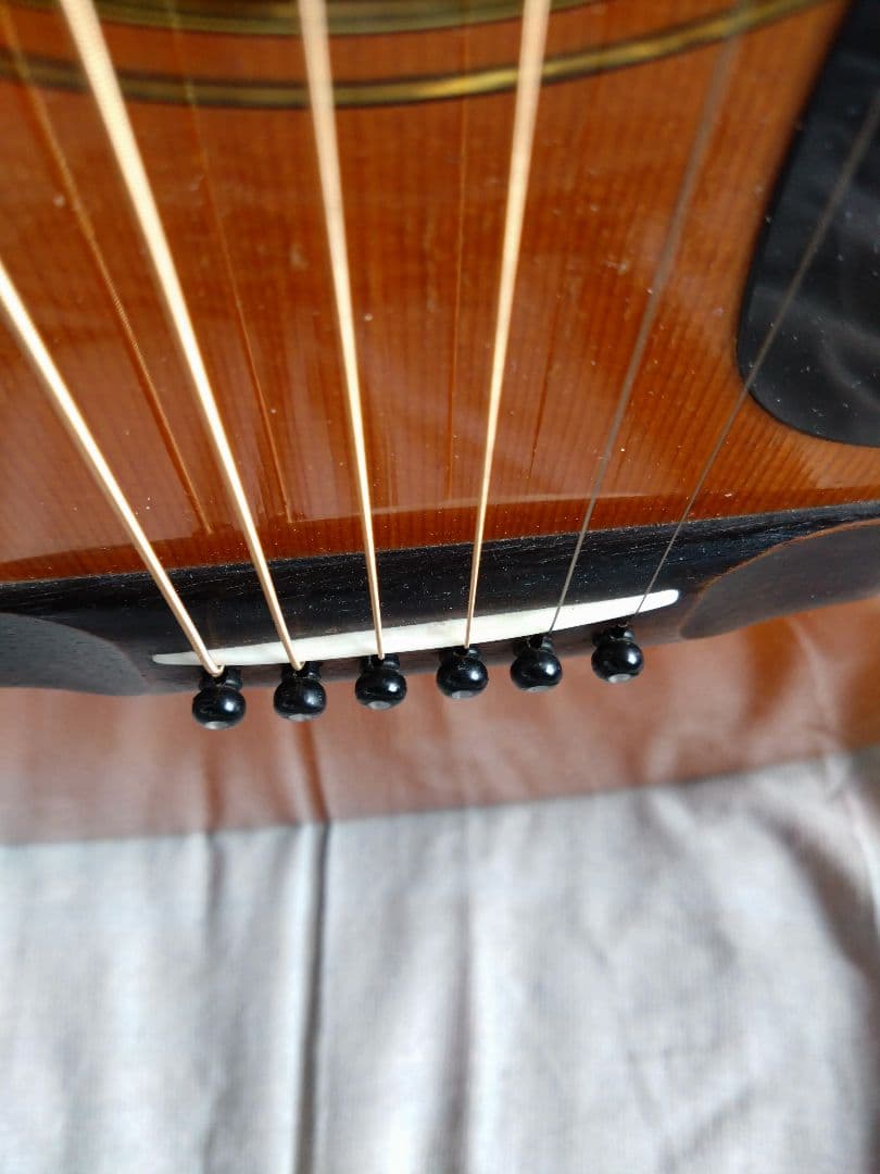 Morris W-40 ハカランダ アコースティックギター　モーリス