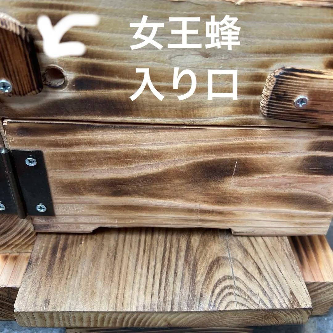 日本ミツバチ重箱式巣箱　手作り　６段