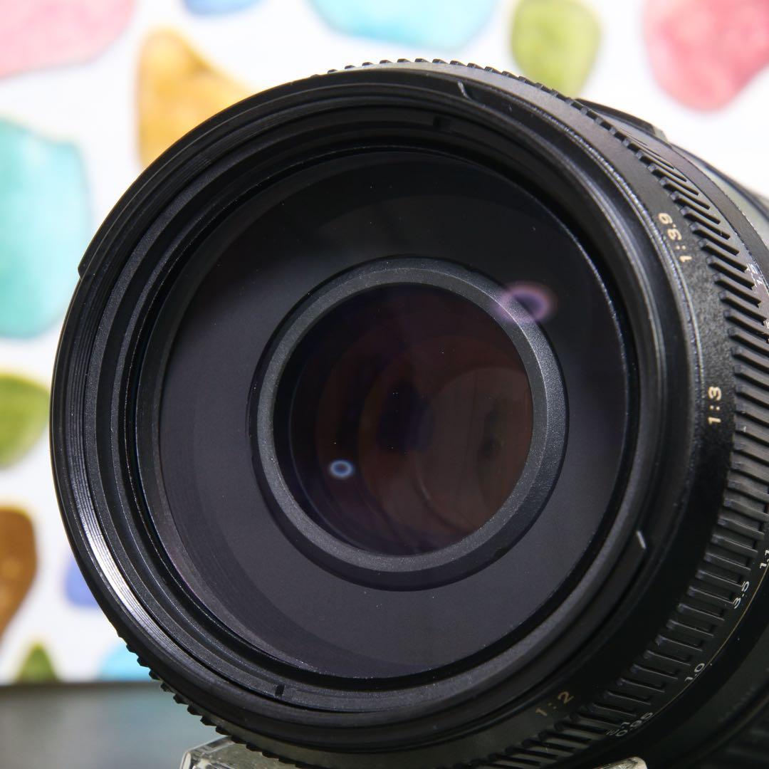 ♥︎◇遠く撮るならこのレンズ♪ ◇TAMRON 70-300mm PENTAX