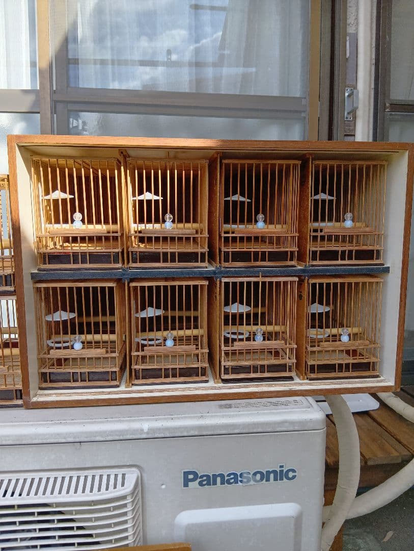 メジロ籠　ヨシガイ8寸5分 手作りデコラ八羽箱　かご8個