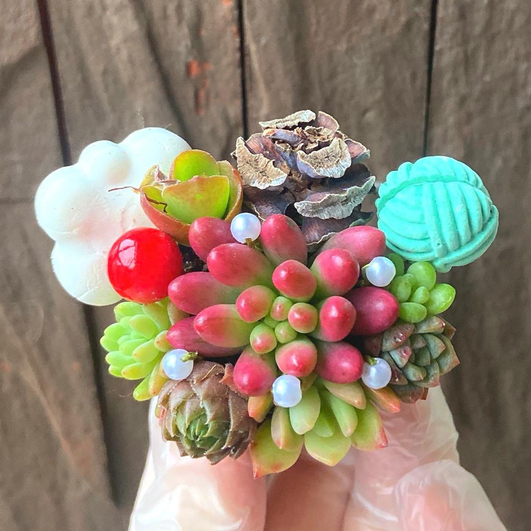②♥‬可愛い1寸鉢❤︎多肉植物❤︎ミニ寄せ植え❤︎そのまま飾れる❤︎