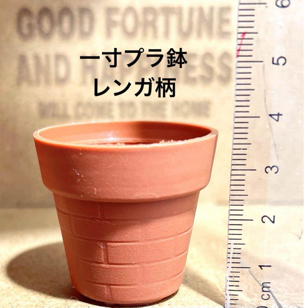 ②♥‬可愛い1寸鉢❤︎多肉植物❤︎ミニ寄せ植え❤︎そのまま飾れる❤︎