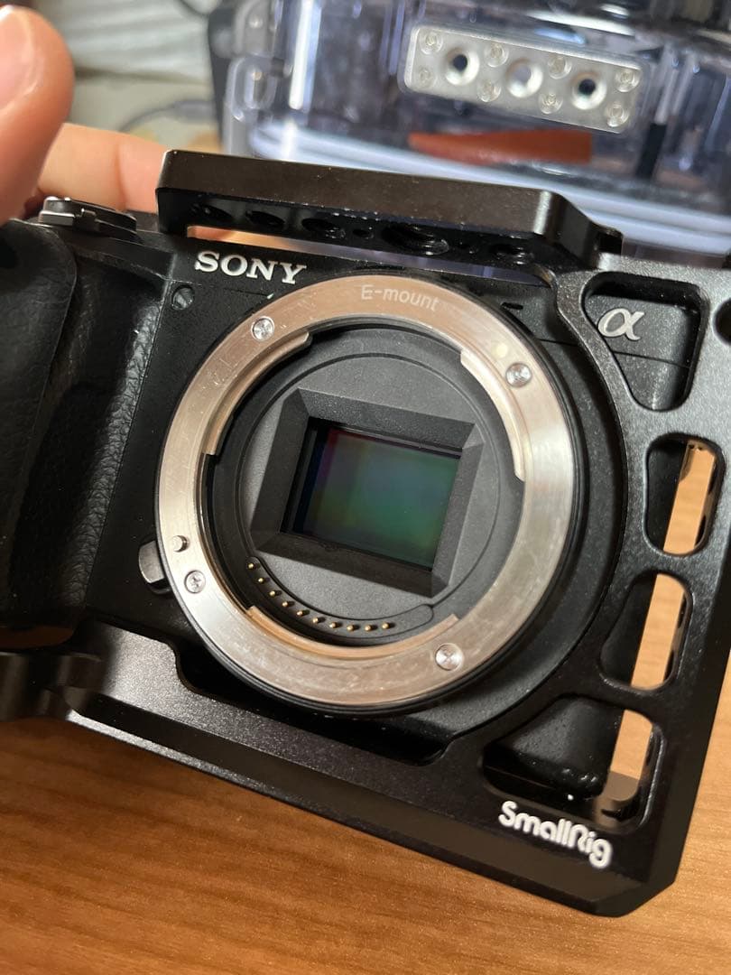 SONY α6400 + Sigma 19mm f2.8 + 水中ケージ