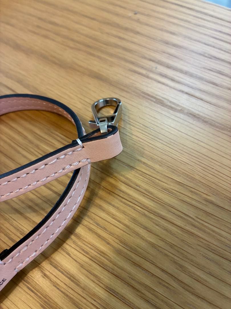 【極美品】Herve Chapelier 1660L ドラジェ