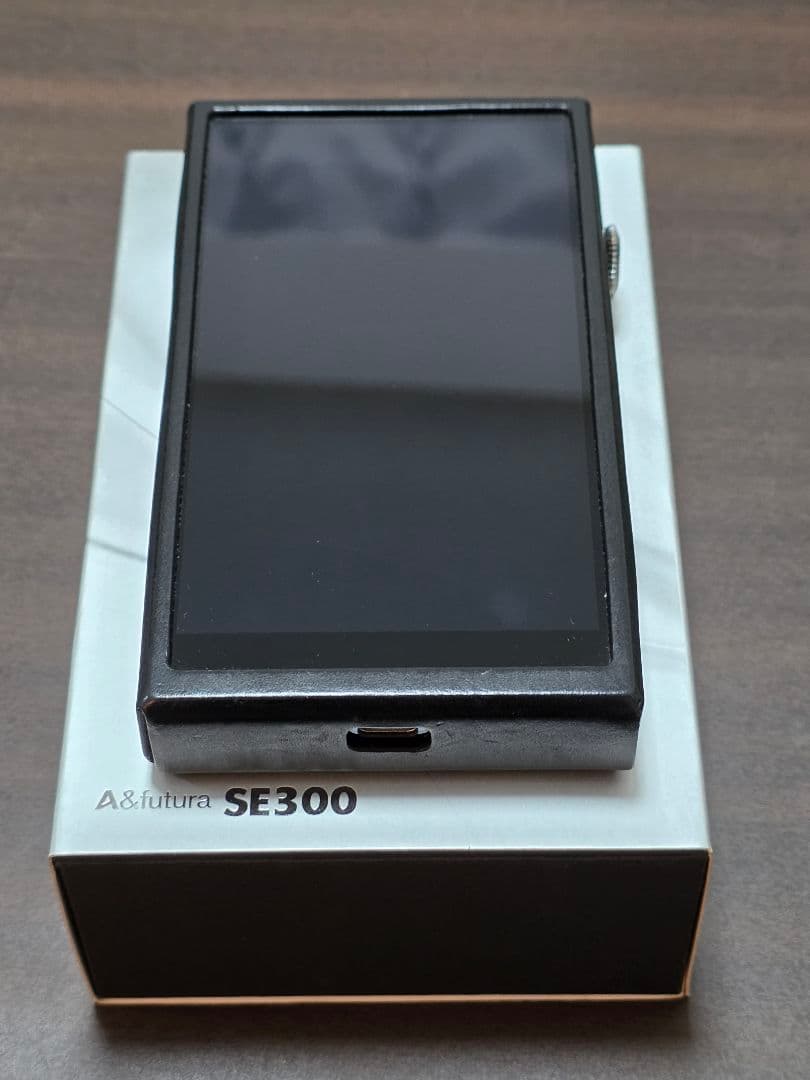 Astell&kern A&futura SE300 +純正レザーケース