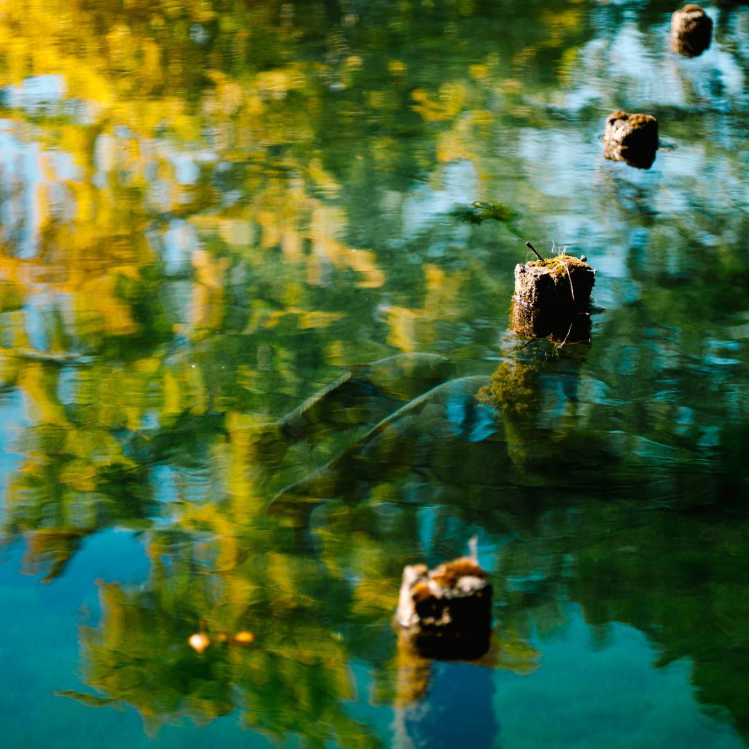 Phase One P30+ Hasselblad Vマウント デジタルバック