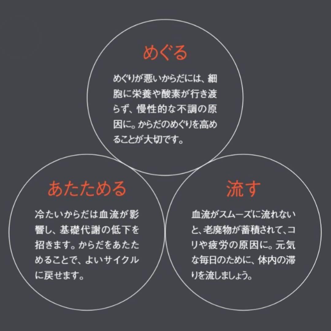 POLA オルガヘキサ■サーキュラップメンテナンス シングルパッドシーツ■ポーラ