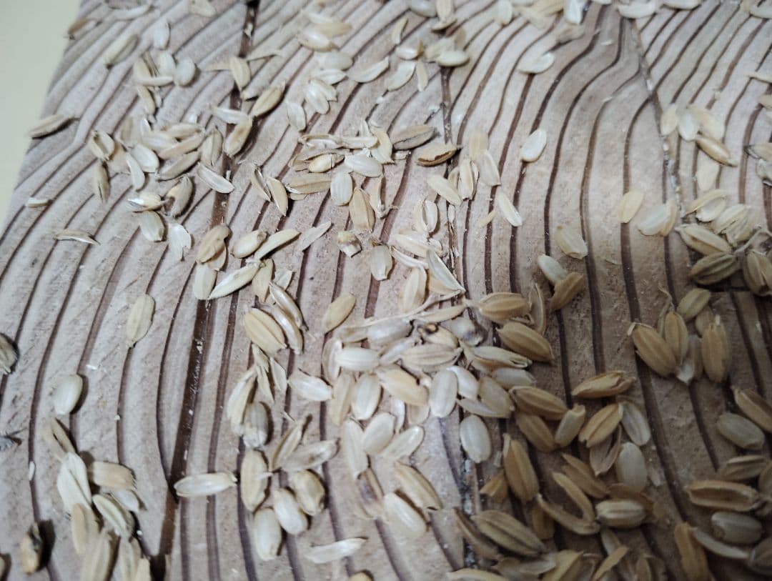 回転式籾摺り機(軽量小型)