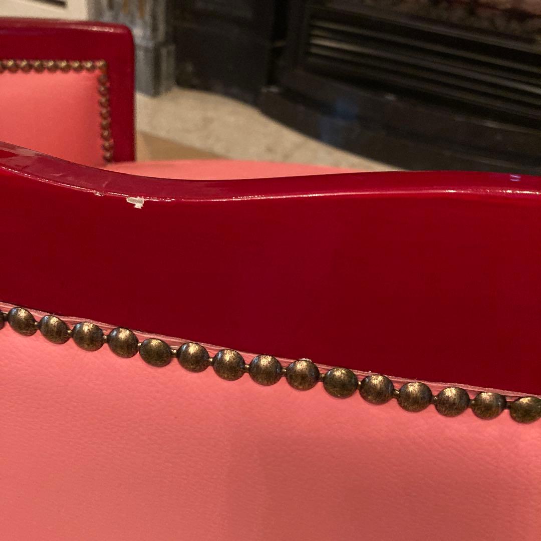 ピンクサロン小型犬