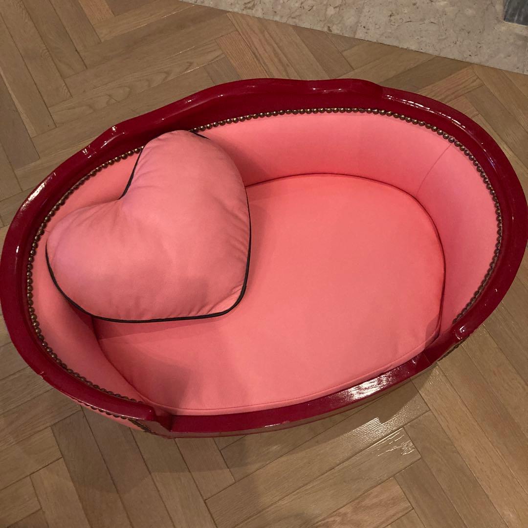 ピンクサロン小型犬