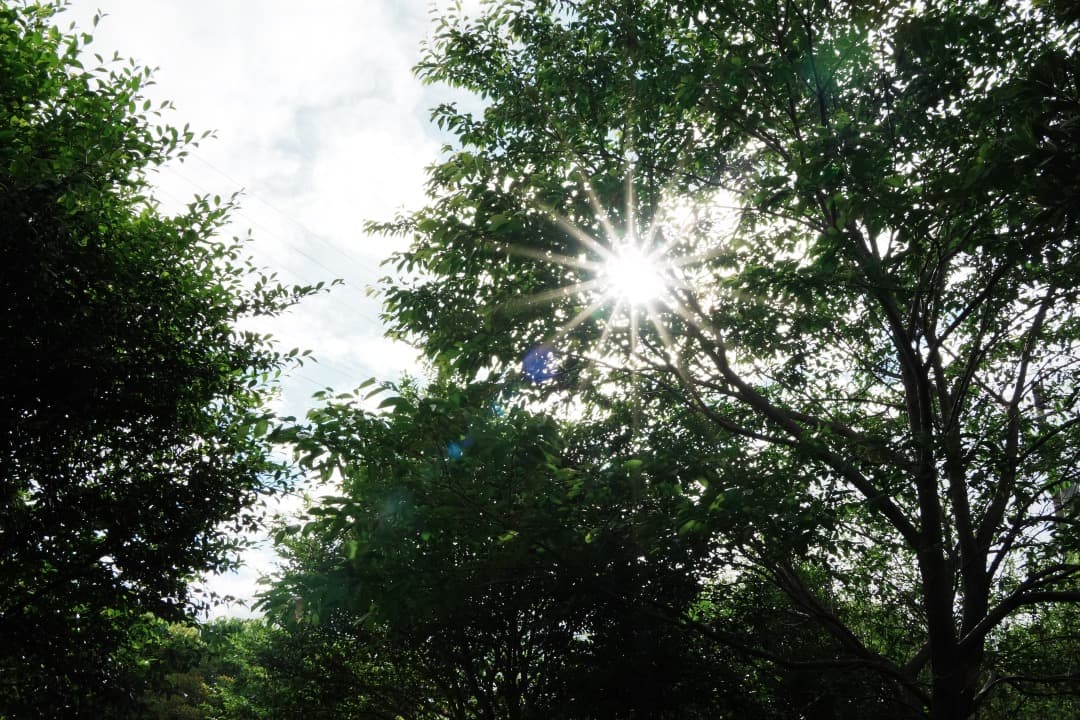 美品 Tamron 18-300mm VC VXD 高倍率ズーム ソニーE用