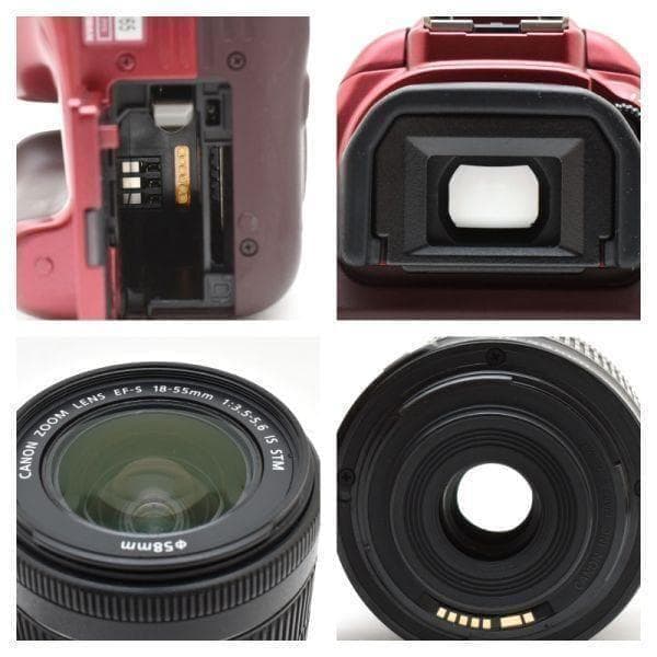 【美品】キャノン Canon EOS Kiss x50 レンズセット　SDカード