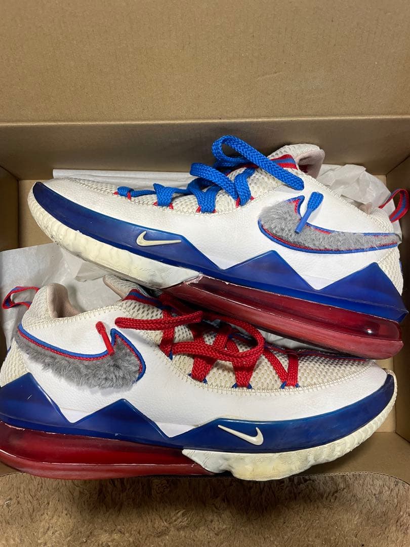 NIKE LEBRON 17 \"TUNE SQUAD\"ナイキ　レブロン　28cm