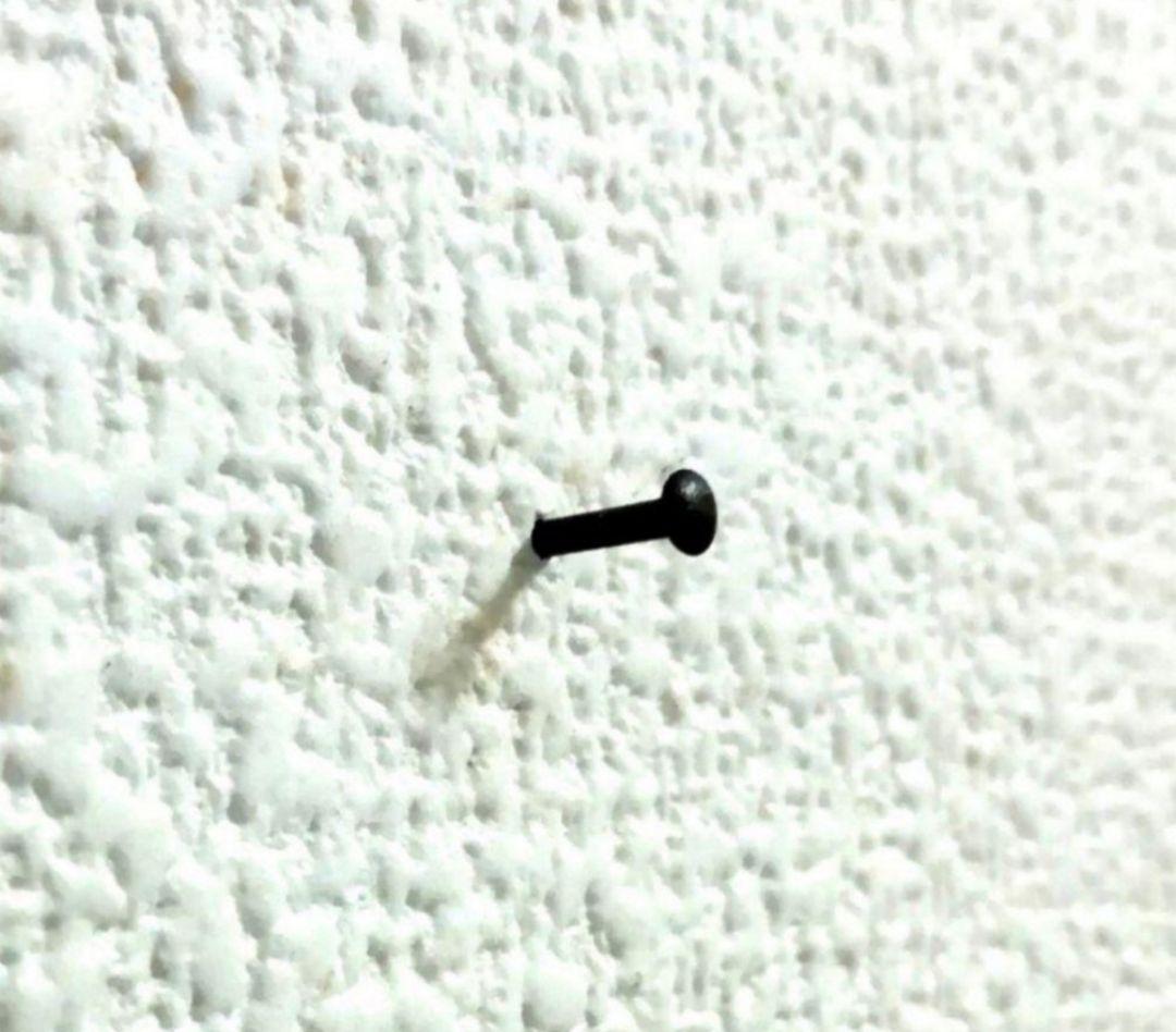 額縁ご確認ページ　title「回想ニャンコ」　title「向き合う」