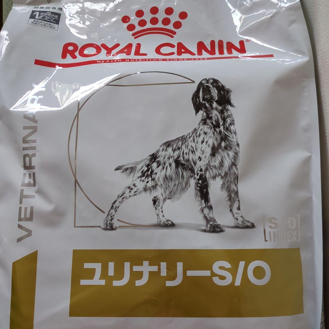 Toshinaka　 CANIN ユリナリー S/O