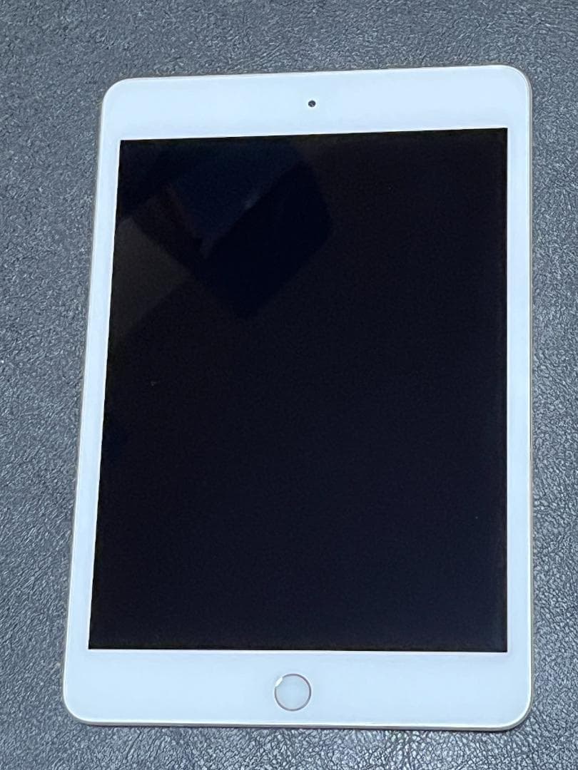 iPad mini 第5世代 64GB Wi-Fiモデル シルバー ケース付