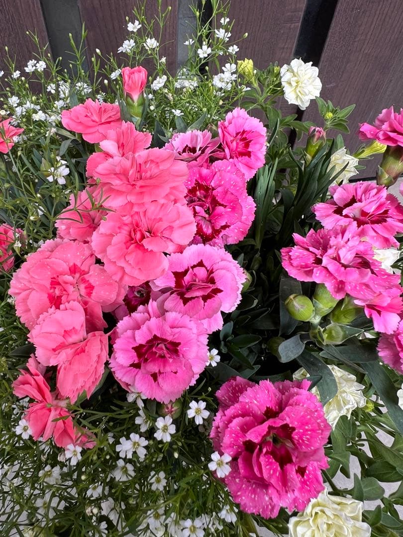 母の日のプレゼントにも♪ 寄せ植え　花■カーネーションの花束のような寄せ植え