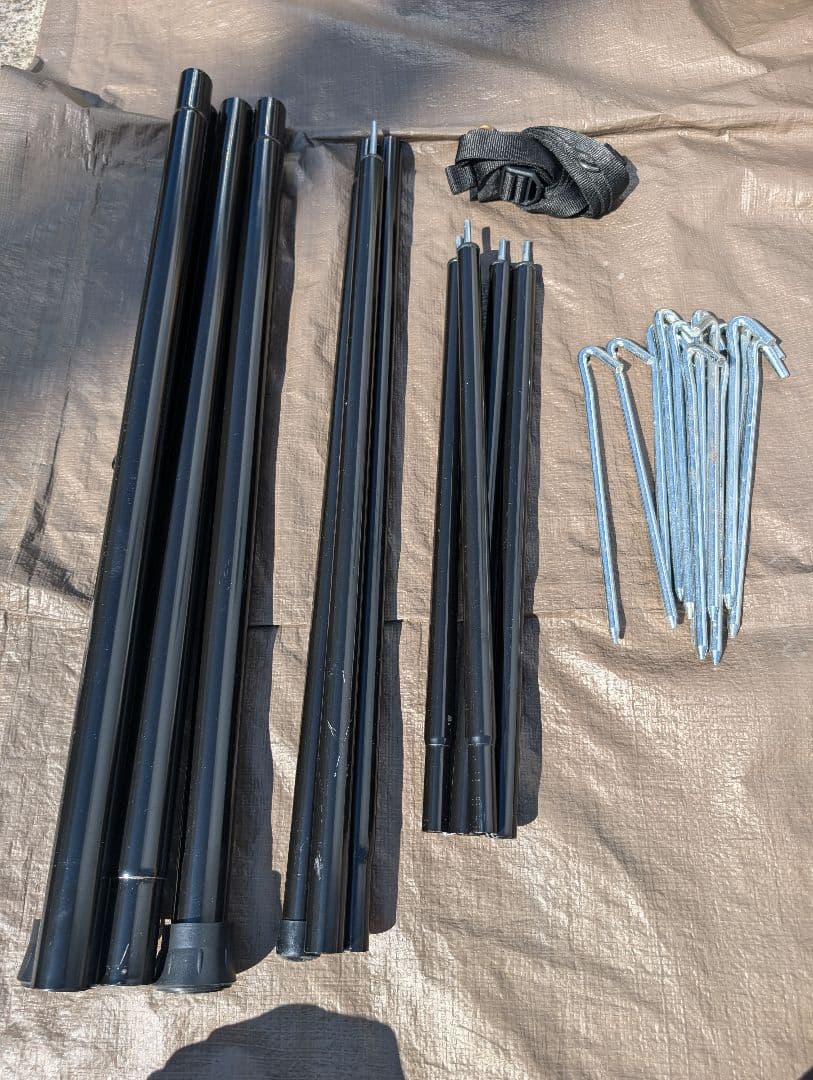 サバティカル　モーニンググローリーTC