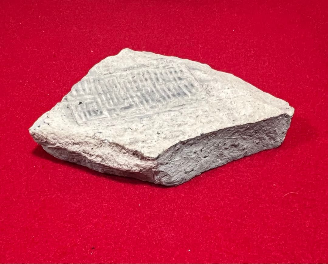 骨董品 年代物 陶片 箱付き 古道具 コレクション